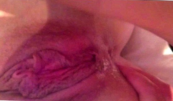 порно видео облизывает член